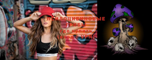 крисы Кукмор