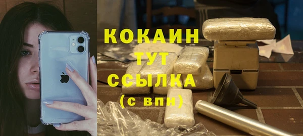дживик Кулебаки