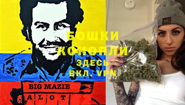 крисы Кукмор