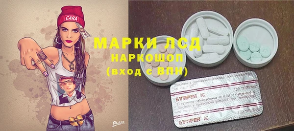крисы Кукмор