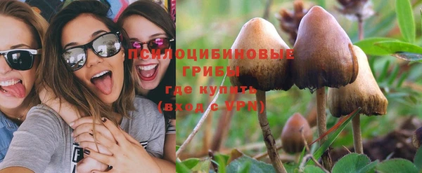 крисы Кукмор