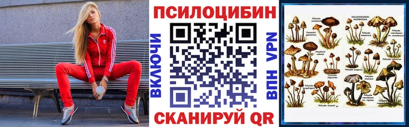 Купить где  Окуловка  Галлюциногенные грибы прущие грибы 